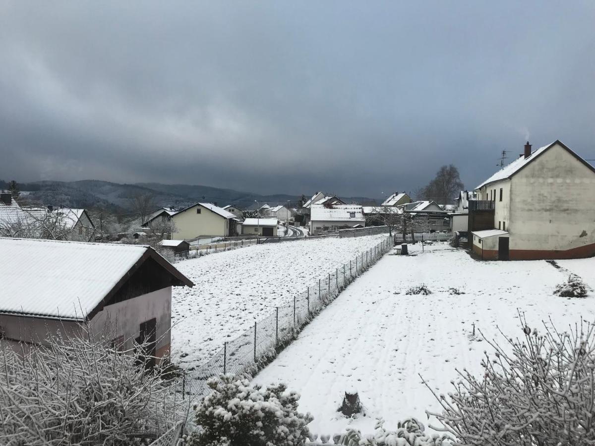 Wohnung Mit Panoramablick Gerolstein Extérieur photo